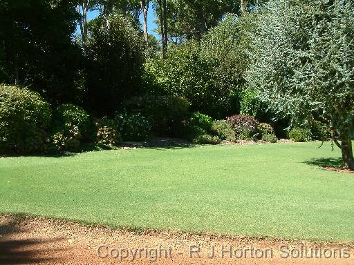 Lawn_QLD blue_2 